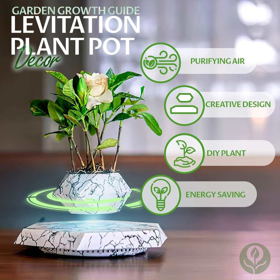 Levitating Plant Pot